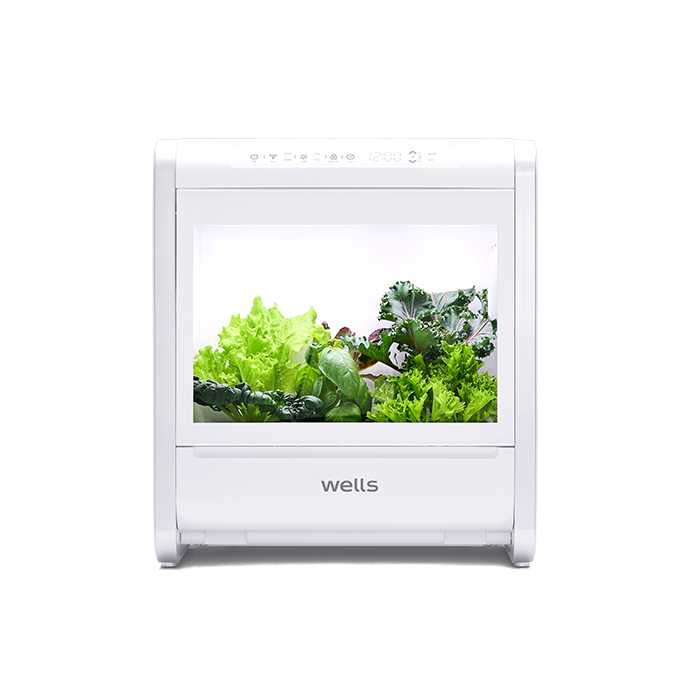 웰스팜 채소패키지