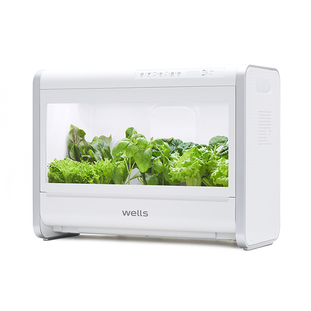 웰스팜 우리 가족 건강 채소 패키지